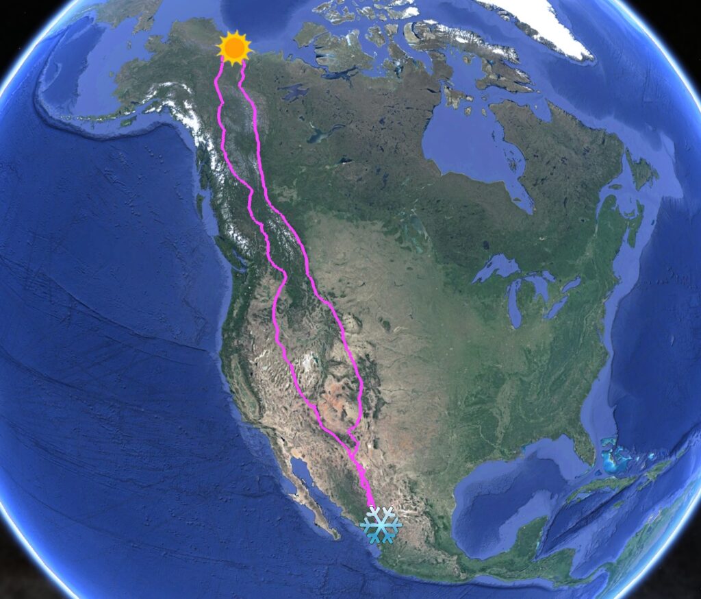 Golden Eagle Tracking Study Diego